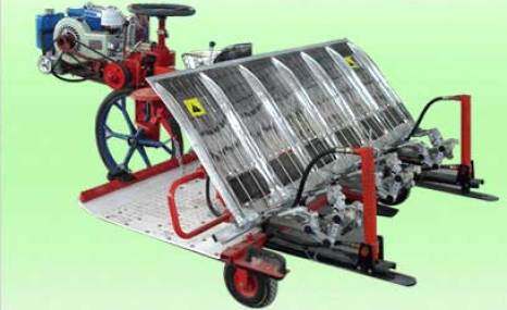 神苗2Z-6300乘坐式水稻插秧机