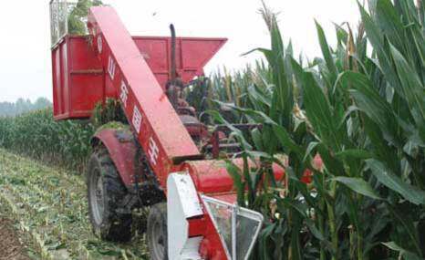 山东国丰4JQ-1.65青饲料收获机