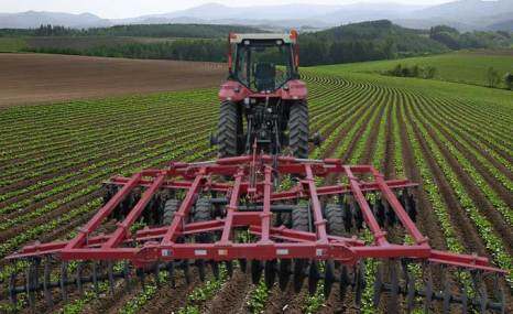 融拓北方1BJ-6.8型六十二片折叠中耙