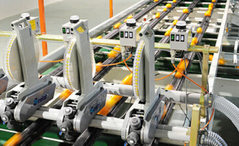 江西绿萌SECD-10果品分级机