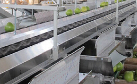 江西绿萌SECH-10电脑果蔬重量分选机