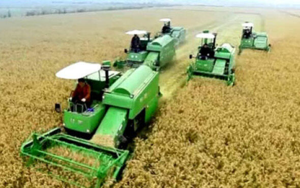 谷王系列水稻联合收割机宣传片
