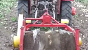 璞盛4U-85马铃薯收获机收获现场视频