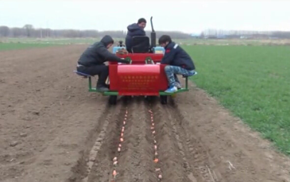 璞盛山药种植机实验视频