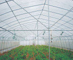 湖南志恒gsp628单体钢塑大棚