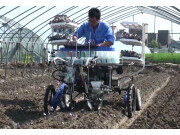 东风井关移植机作业视频