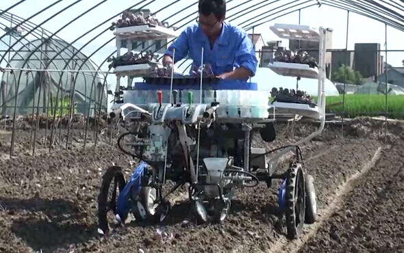 东风井关移植机作业视频