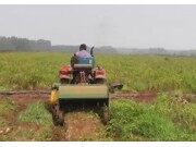 青岛璞盛1JH-110杀秧机作业视频