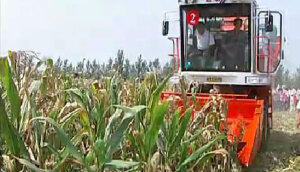 山东巨明玉米收产品宣传