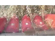 天人玉米收获机TR9988作业视频