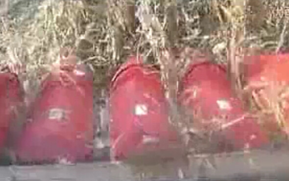 天人玉米收获机TR9988作业视频