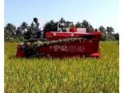 宇成”谷缘”半喂入联合收割机作业视频