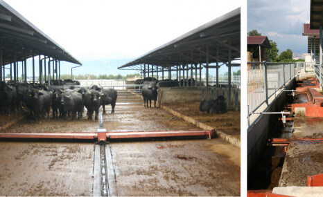 国科诚泰液压刮粪板