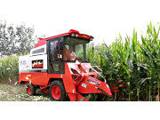 山西仁达4YZX-2B玉米收割机作业视频