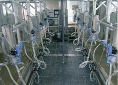 优利农 9JNT-YGS-2×12-24挤奶机