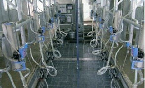 优利农 9JNT-YGS-2×12-24挤奶机