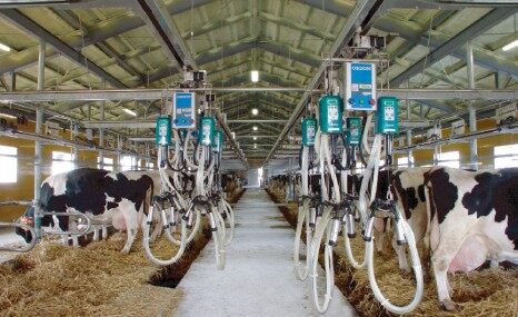 上海爱励机器人挤奶机