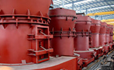 卓亚雷蒙磨粉机