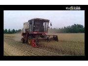 雷沃谷神GE50收获机作业视频