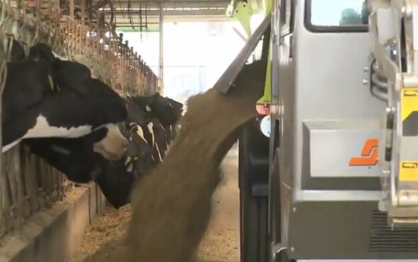 国科诚泰terrier_立式自走式搅拌车