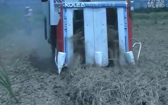 广东科利亚4LBZ系列半喂入联合收割机作业视频