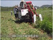 广东科利亚花生联合收割机作业视频
