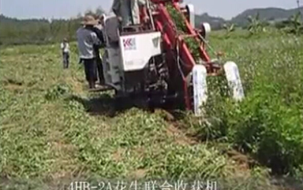 广东科利亚花生联合收割机作业视频