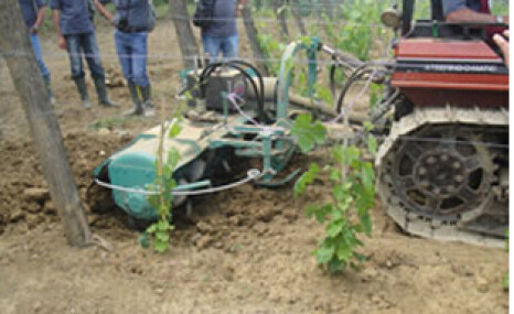 纳迪果园用侧移让树旋耕机