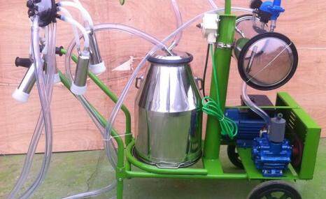 山东惠农家用奶牛挤奶机