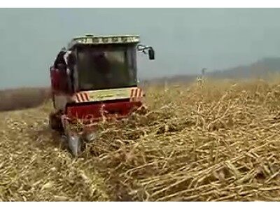 勇猛玉米收割机收倒伏能力作业视频