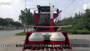 隆硕4QZ-2200自走式青贮饲料收获机作业视频