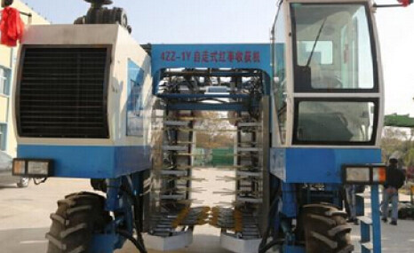 锐拓红枣收获机