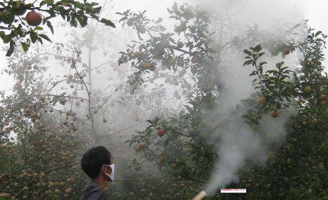 山东佳福JFY-280弥雾机