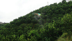 湖南柑橘现场作业视频-深圳高科新农技术有限公司