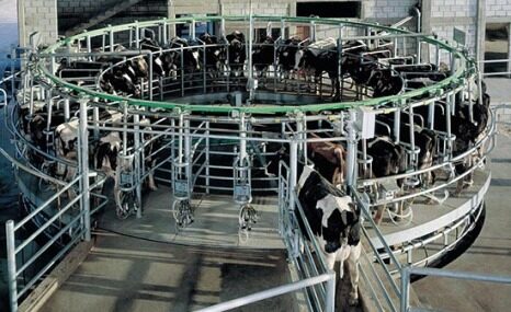 瑞海9JGD-ZP-80转盘式挤奶机