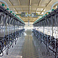 瑞海9JGD-BL-64电子计量型挤奶机