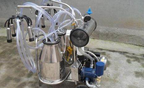 山东惠农双桶真空奶牛挤奶机