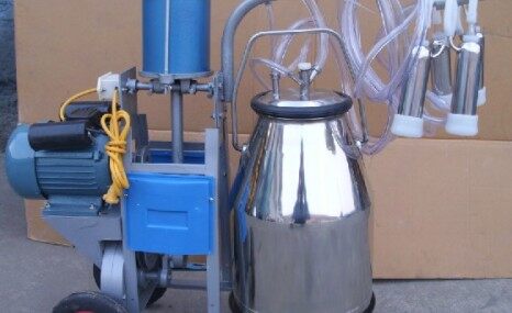 山东惠农活塞单把奶牛挤奶机