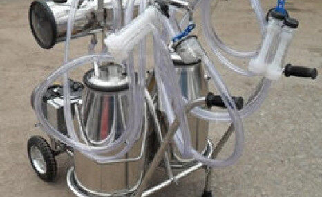 山东惠农双桶奶羊挤奶机