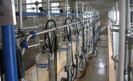 天润新东9JN-Z-16中置式挤奶机