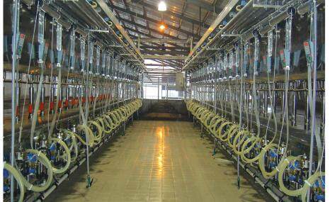 力欧9J-LEO-BL-2×24并列式挤奶机