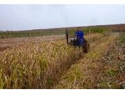 河南四达9G-1.25旋转割草机作业视频