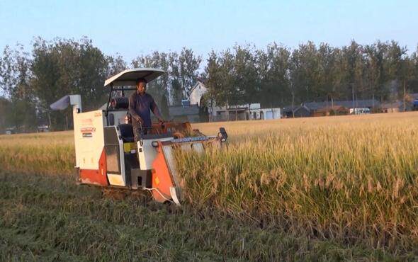 江苏沃得半喂入收割机产品片