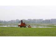 沃得猛龙履带式旋耕机作业视频