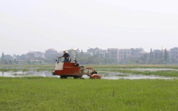 沃得猛龙履带式旋耕机作业视频