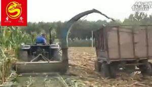 曲阜圣隆玉米秸秆粉碎回收机收获现场视频