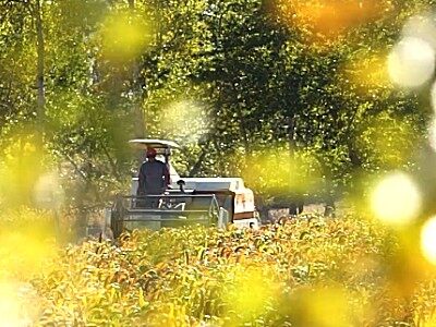 星光农机股份有限公司产品宣传片