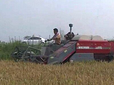 星光至尊750高效水稻收割机作业视频