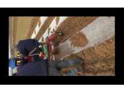 青岛璞盛2CM-2单垄双行马铃薯种植机视频