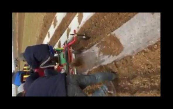 青岛璞盛2CM-2单垄双行马铃薯种植机视频